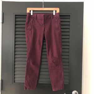 LOFT Maroon Pants